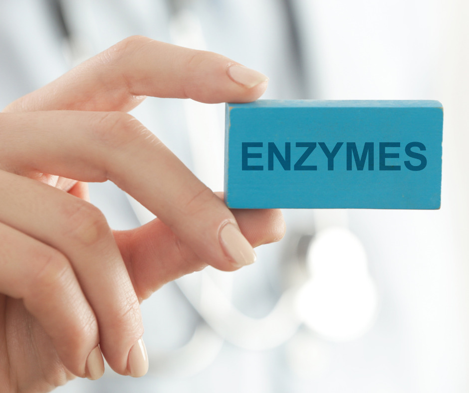 Unlocking the Power of Enzymes for Digestion: Benefits, Side Effects, and More