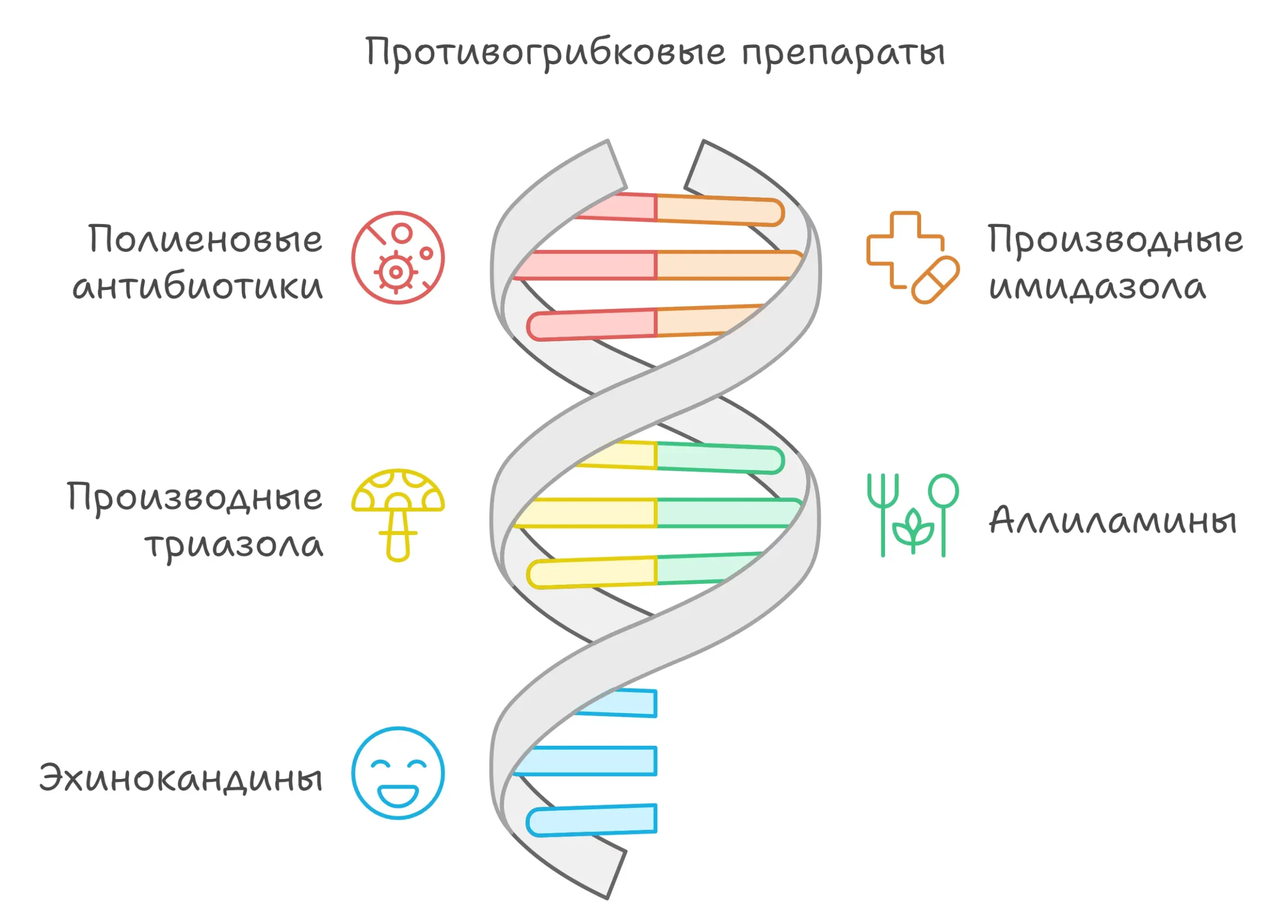 Схема противогрибковых препаратов