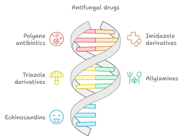 Antifungal drug regimen