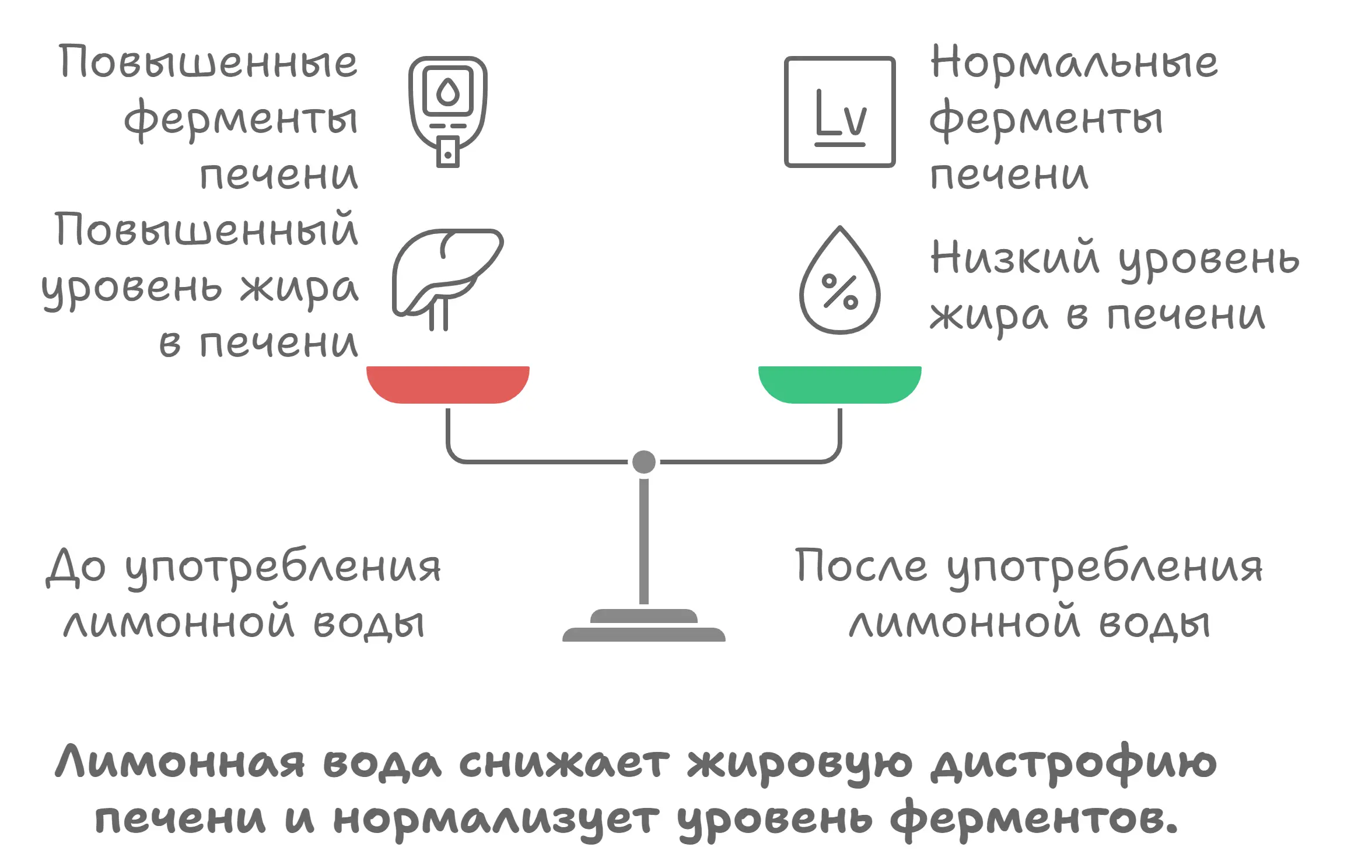 Лимонная вода снижает жировую дистрофию печени