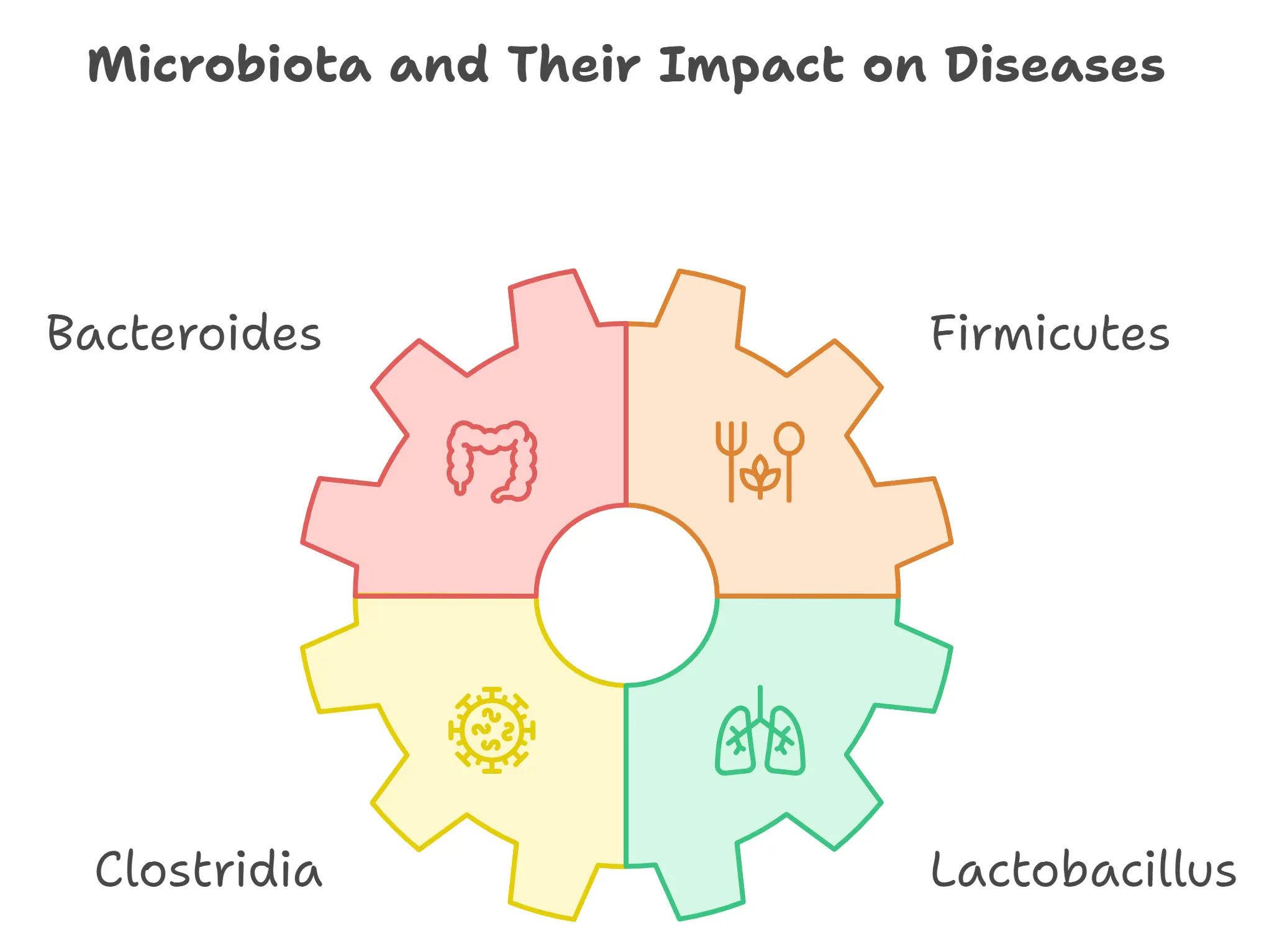 Schematic of the effects of dysbiosis on the immune system 