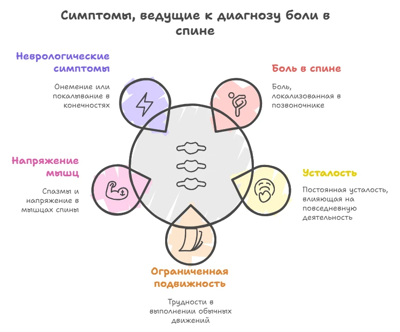 Схема симптомов ведущих к диагнозу боли в спине