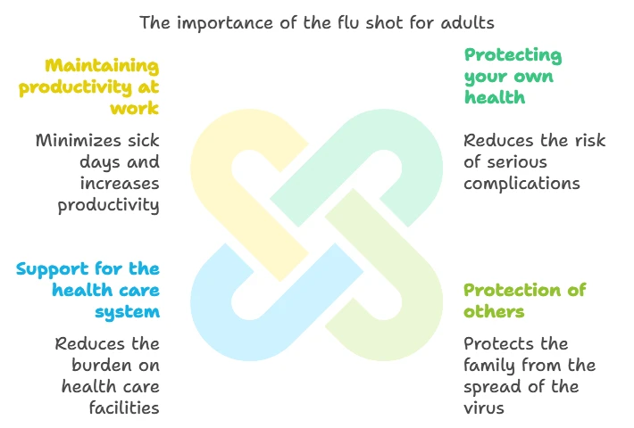 Diagram of the importance of the flu shot for adults