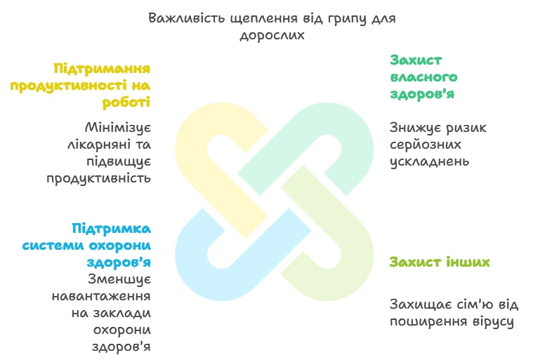 Схема важливості щеплення від грипу для дорослих