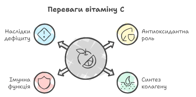 Схема користі вітаміну С