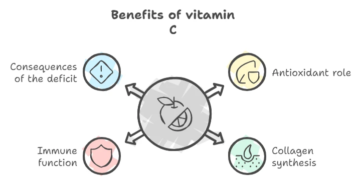 Diagram of the benefits of vitamin C