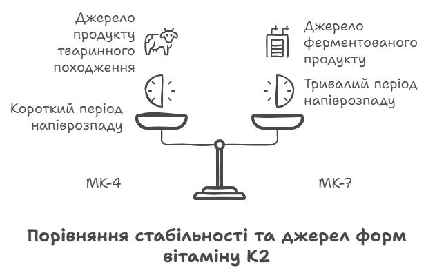 Порівняння стабільності та джерел форм вітаміну К2