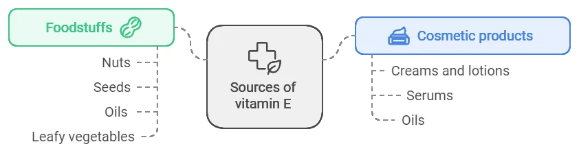 Vitamin e source diagram