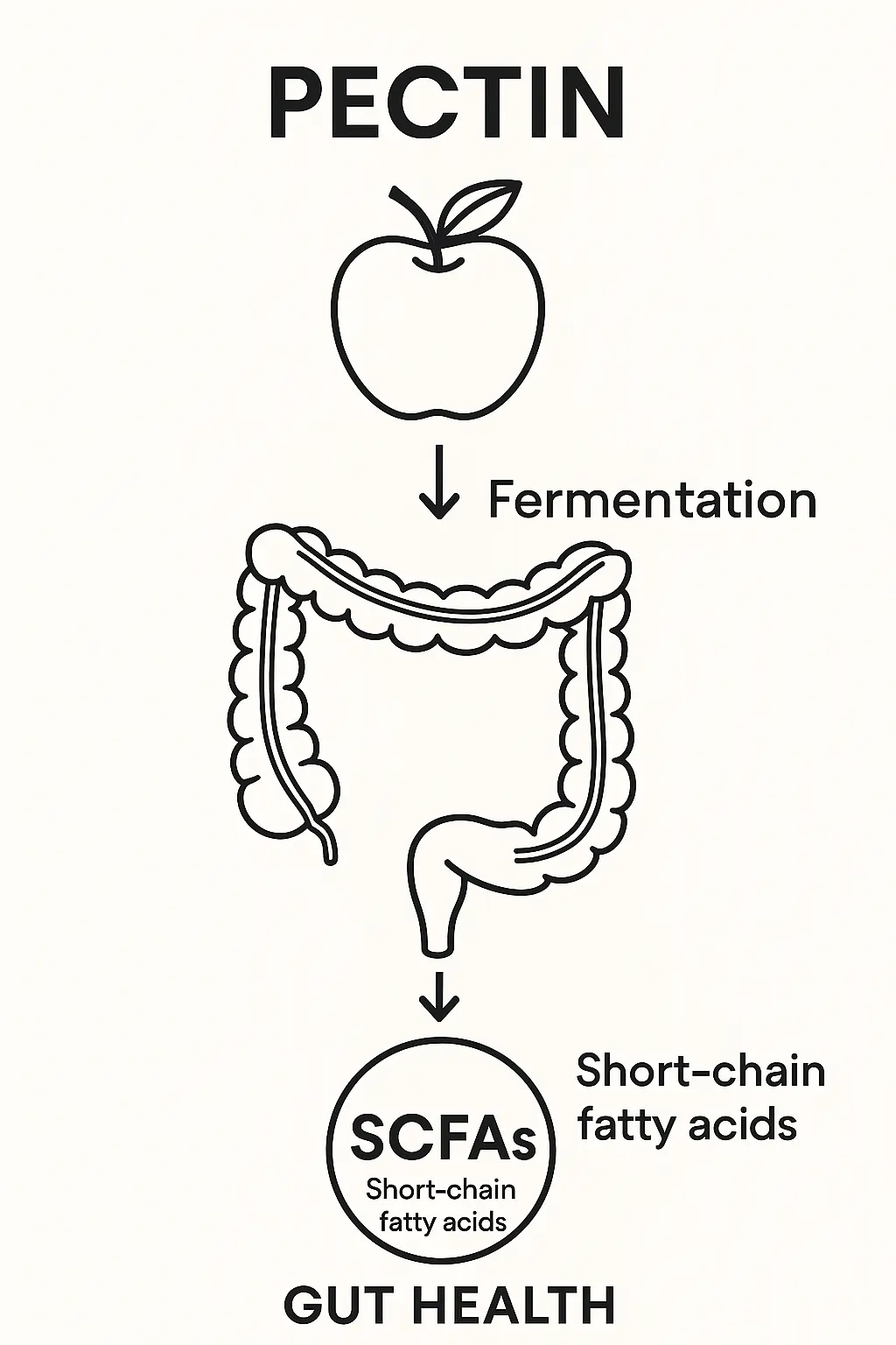 Effect of pectin on fermentation